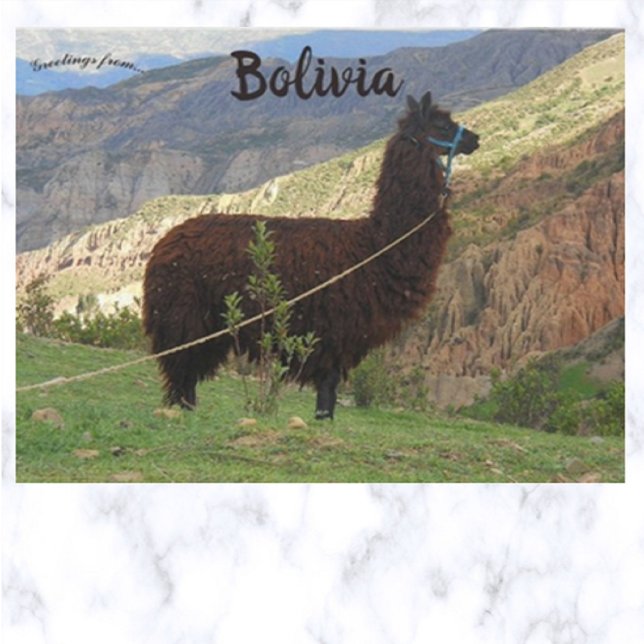 Carte Postale Llama dans la vallée des âmes Bolivie (Créateur téléchargé)