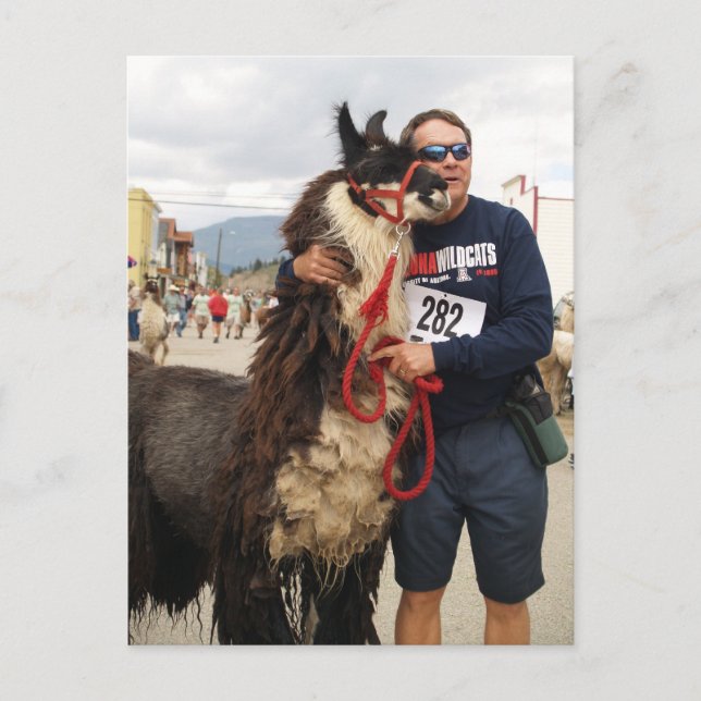 Carte postale Llama Pack personnalisée (Devant)
