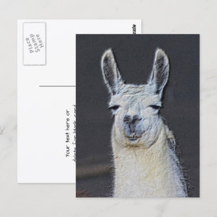 Carte Postale Llama Visage Animal Art Personnalisé