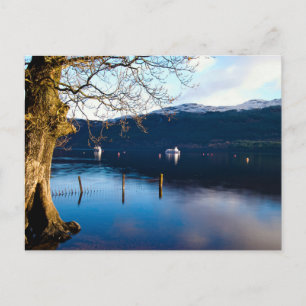 Carte postale Loch Lomond, Tarbet, Écosse