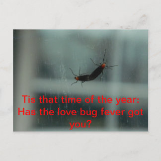 Carte postale Log Bug Fever