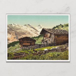 Carte Postale Logement suisse, Murren, Oberland bernois, Suisse