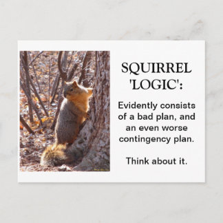 Carte Postale Logique de l'écureuil