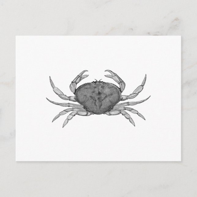 Carte Postale Logo de crabe de Dungeness (art linéaire) (Devant)