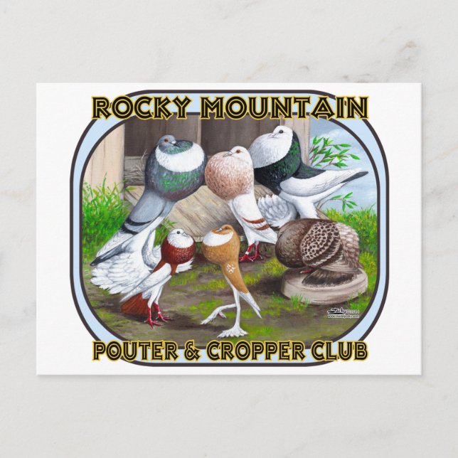 Carte Postale Logo de Rocky Mountain Club (Devant)
