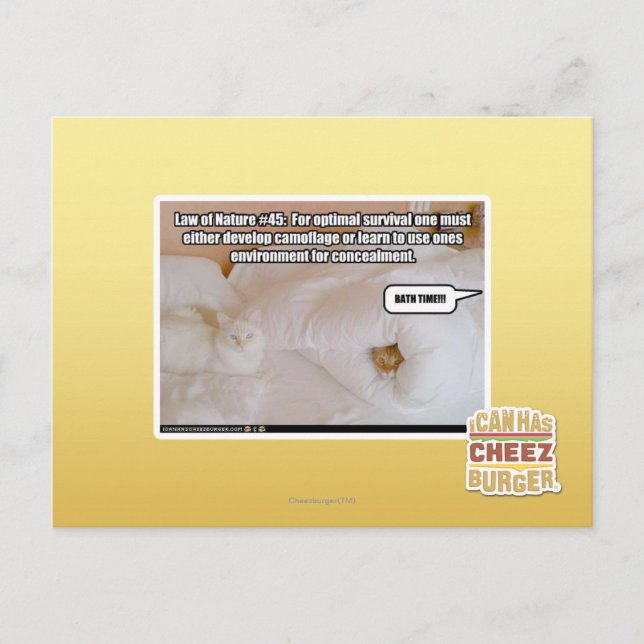 Carte Postale Loi de la nature #45 (Devant)