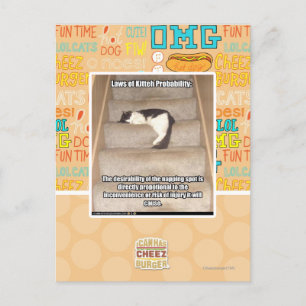 Carte Postale Lois de Kitteh Probabilité