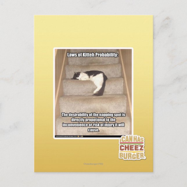 Carte Postale Lois de Kitteh Probabilité (Devant)