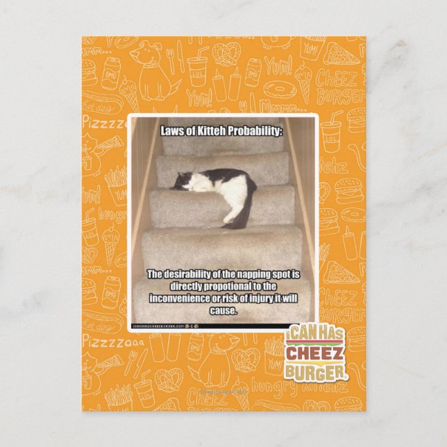 Carte Postale Lois de Kitteh Probabilité (Devant)