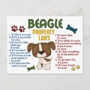 Carte Postale Lois sur la propriété beagle 4