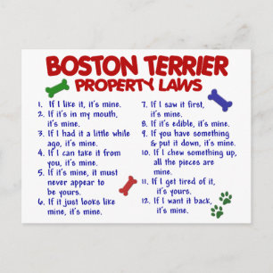 Carte Postale Lois sur la propriété des Boston Terrier 2
