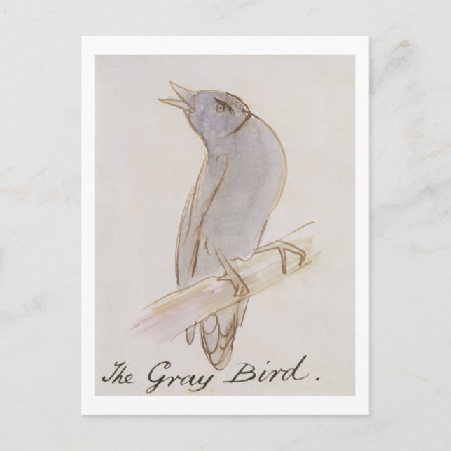 Carte Postale L'oiseau gris, de 'seize dessins de BIR comique (Devant)