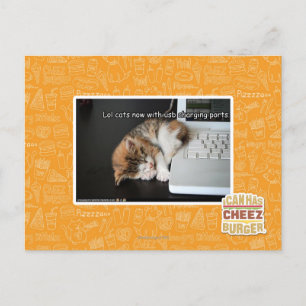Carte Postale Lol cats with USB