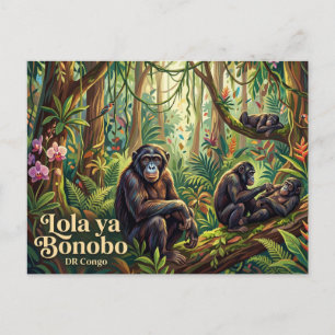 Carte Postale Lola ya Bonobo Sanctuary