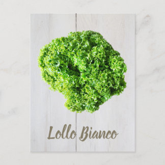Carte Postale Lollo Bianco Salade feuilles de laitue pour Vegas