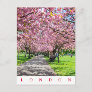 Carte postale London Greenwich Park vue sur la fle