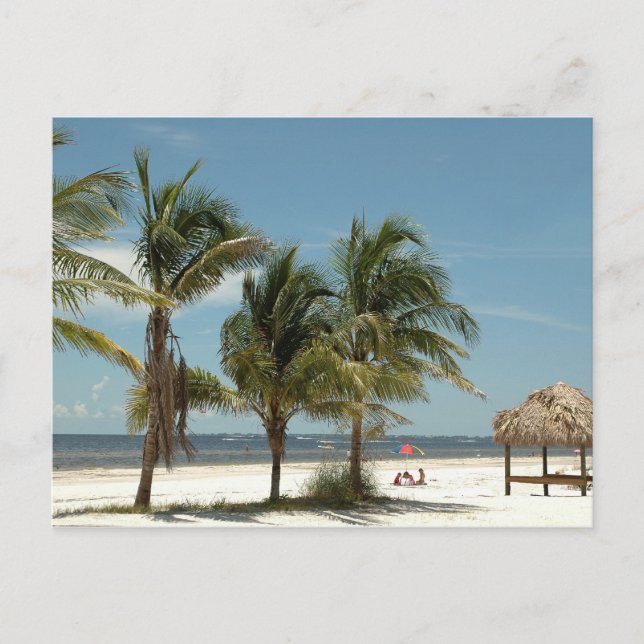 Carte Postale Lone Beach À Fort Myers Beach Floride (Devant)