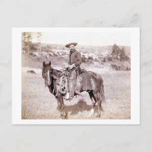 Carte Postale Lone Cowboy