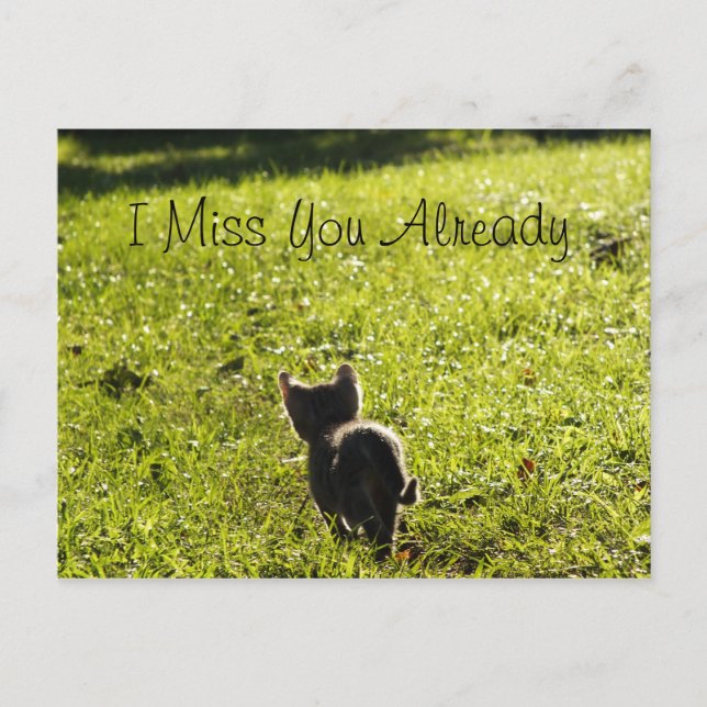 Carte postale Lonely Kitten "Missing You" *Personn (Devant)