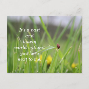 Carte Postale [Lonely Ladybug] Vous avez manqué
