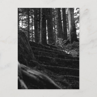 Carte Postale Lonely Stair Way