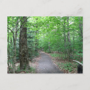 Carte Postale Lonesome Lake Trail dans le New Hampshire