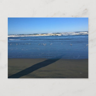 Carte Postale Long Beach, Washington