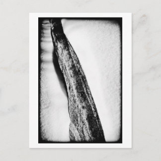 Carte Postale long froid dur solitaire