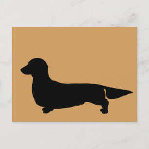 Carte postale Long Hair Dachshund