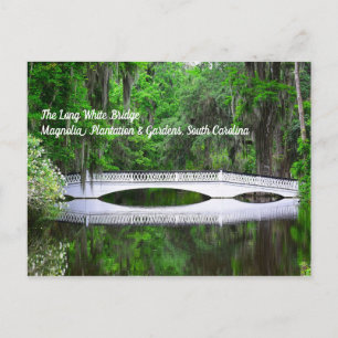 Carte postale Long White Bridge