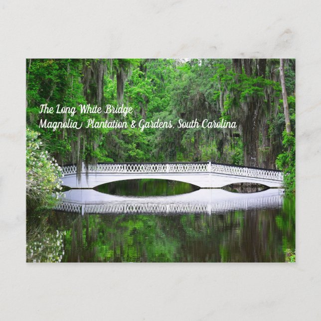 Carte postale Long White Bridge (Devant)