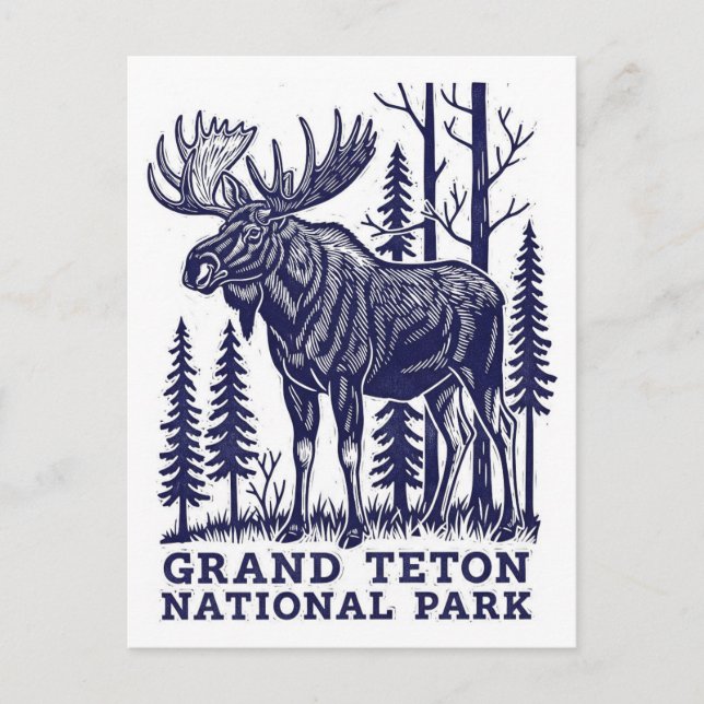 Carte Postale L'orignal dans le parc national de Grand Teton (Devant)