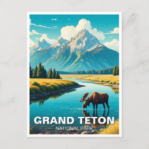 Carte Postale L'orignal dans le parc national de Grand Teton