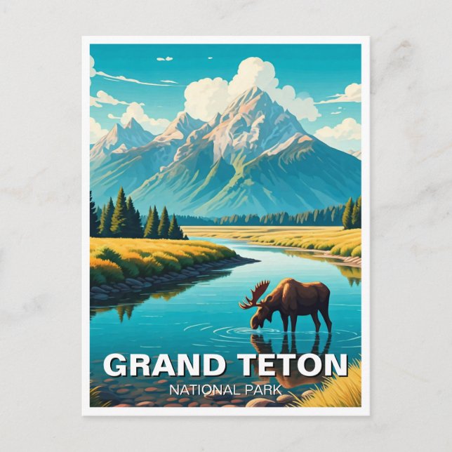 Carte Postale L'orignal dans le parc national de Grand Teton (Devant)