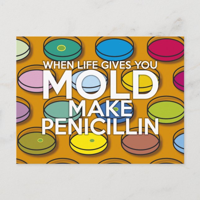 CARTE POSTALE LORSQUE LA VIE VOUS DONNE DU MOLD (Devant)