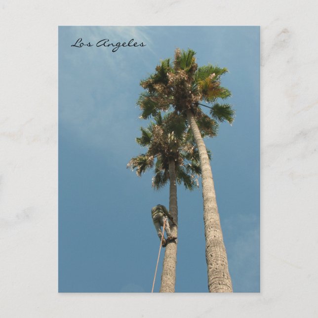 Carte postale Los Angeles amusante ! (Devant)