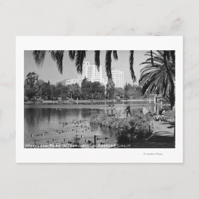 Carte Postale Los Angeles, CA West Lake Park en hiver (Devant)