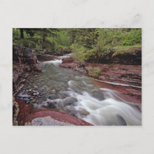 Carte Postale Lost Horse Creek in Waterton Lakes National Park