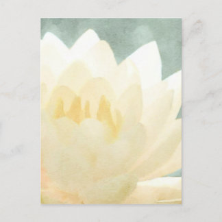 Carte Postale Lotus blanc