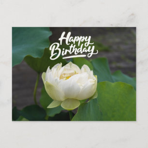 Carte Postale Lotus blanc avec mot Joyeux anniversaire 