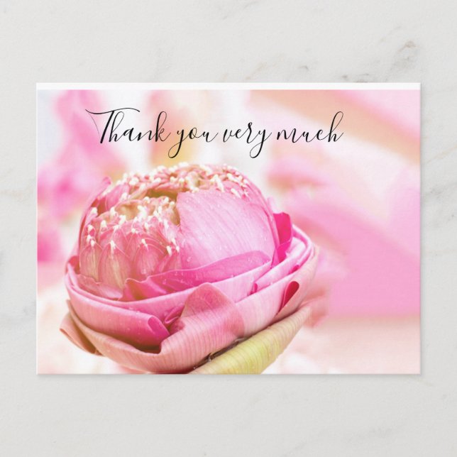 Carte Postale Lotus plié rose en Merci arrière - plan rose (Devant)
