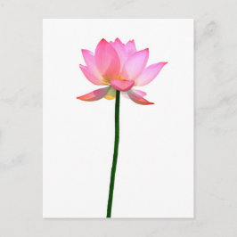 Carte Postale Lotus rose