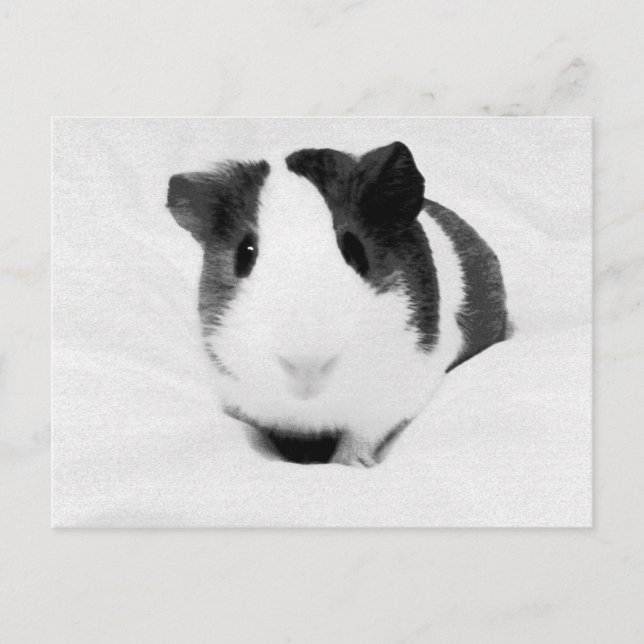 Carte Postale louche (Devant)