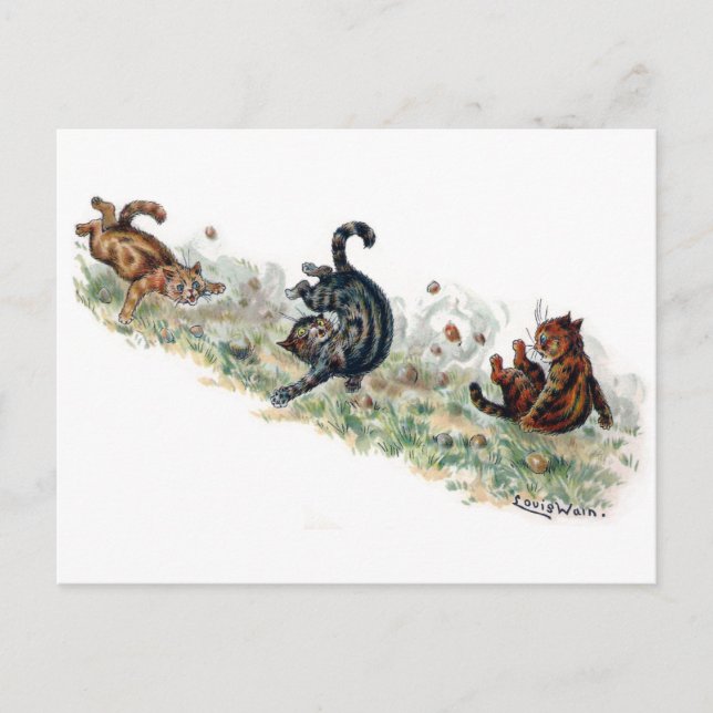 Carte Postale Louis Wain Cats prend un tambour (Devant)