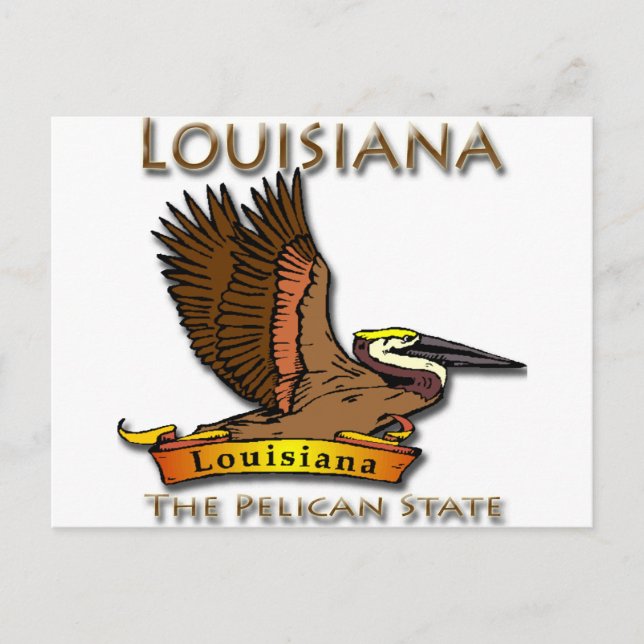 Carte Postale Louisiana Pelican State Pélican (Devant)