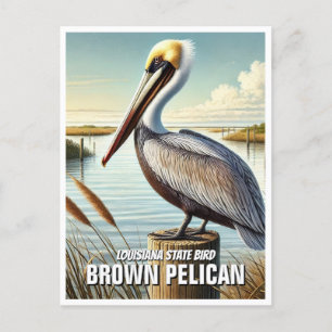 Carte Postale Louisiana State Bird Pélican Brown