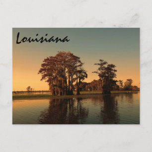 Carte Postale Louisiane bayou