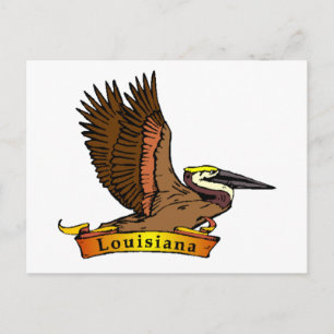 Carte Postale Louisiane Brown Pélican
