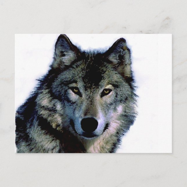 Carte Postale Loup (Devant)