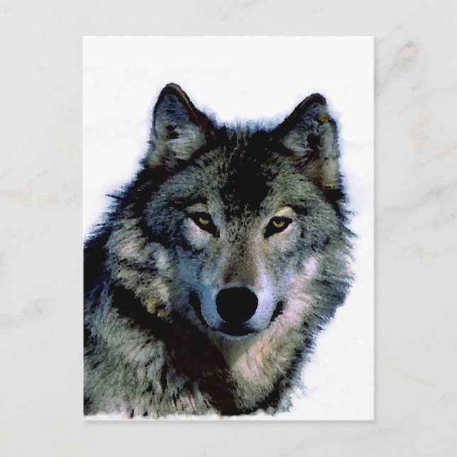 Carte Postale Loup (Devant)